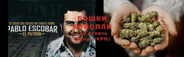Альфа ПВП Гусь-Хрустальный