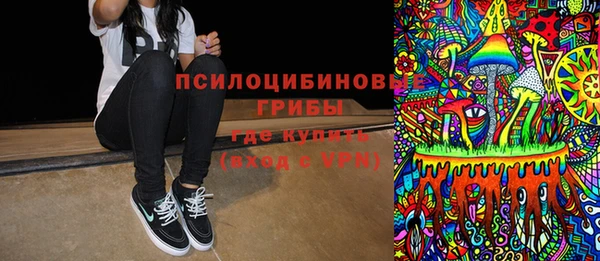 2c-b Гусиноозёрск