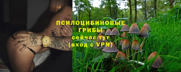 молекула духа Гусев