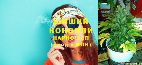молекула духа Гусев