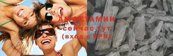 молекула духа Гусев