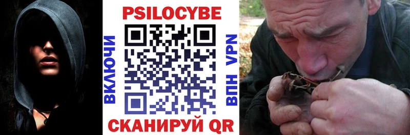 Галлюциногенные грибы Psilocybine cubensis  Купить где  Мосальск 